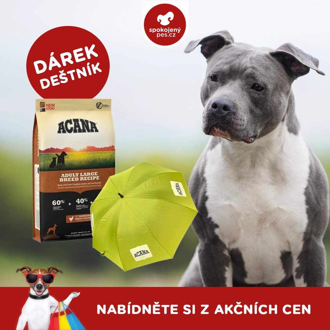 dog acana.webp